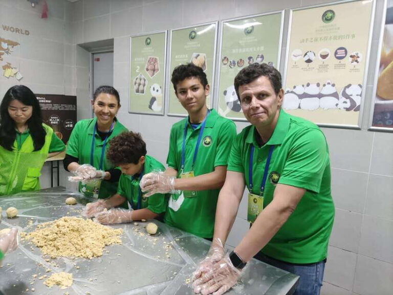 Chengdu: Dujiangyan Panda Volunteer Program with Lunch - Practical Details and What to Expect