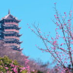 Chengdu: Dujiangyan Worlds Oldest Water Conservancy Project - An Introduction to Dujiangyan’s Significance