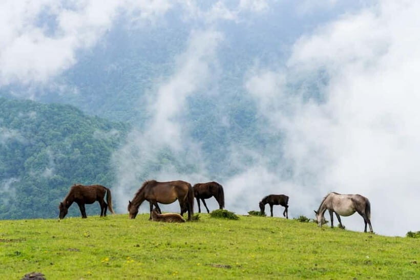 Chengdu: Ganhaizi Hidden Paradise Day Trip with Hike - The Sum Up