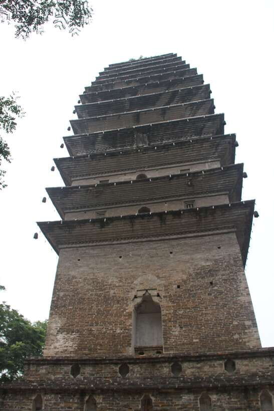 Chengdu: Giant Panda and Leshan Buddha Sall Group Day Tour - Authentic Experiences & Authenticity