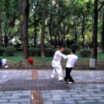 Chengdu Half-Day Cultural Leisure Tour w Personal Photo Shoot - Practical Details: What to Expect