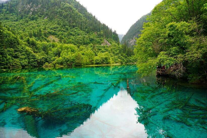 Chengdu & Jiuzhaigou Enchanted Landscapes Tour - Transportation and Comfort