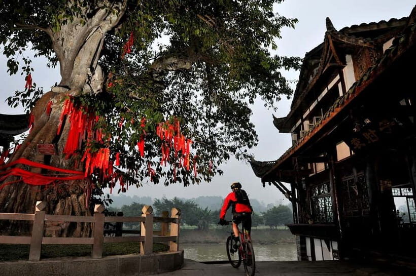 Chengdu: Leshan Giant Buddha & Huanglongxi Ancient Town Tour - Why This Tour Works