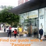 Chengdu panda base half day tour - A Deep Dive into the Panda Experience