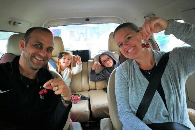 Chengdu Panda Breeding Base Ticket w/ Optional Transfer or Guide - The Panda Base Itinerary and Experience