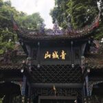 Chengdu Private Day Tour: Du jiang yan Panda Base and Qingcheng Mountain - The Full Breakdown: What to Expect from This Tour