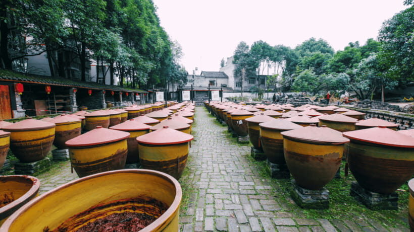 Chengdu: Sichuan Cuisine Museum Entry with Tasting - A Closer Look at the Sichuan Cuisine Museum Experience