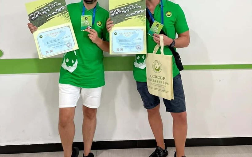 Chengdu:Panda Keepervolunteer for a Day with Pickup - The Possible Downsides