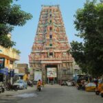 Chennai Heritage & Cultural Walk (2 Hours Guided Walking Tour) - What You Can Expect From the Experience