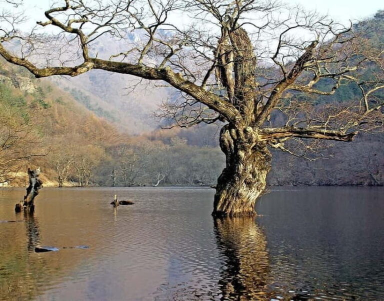 Cheongsong UNESCO GEO Park Hike From Andong - Final Conclusions: Who Should Consider This Tour?