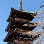 Cherry blossom tour in Tokyo - Who Will Love This Tour?