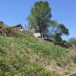 Chesapeake Beach Guided Walking Tour - The Cliffs - The Sum Up: The Value of a Scenic, Informative Stroll