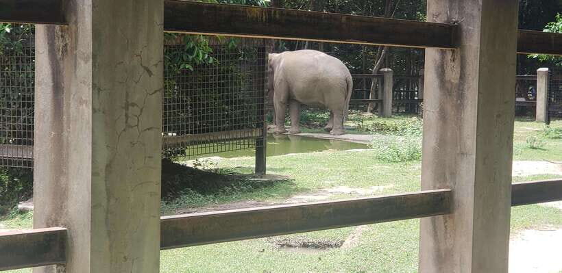 Chi so mountain _ Ta moa zoo_ Bati temple Tour - Exploring the Experience in Detail