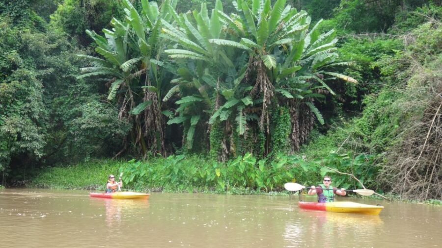 Chiang Mai: 15 km Leisure River Kayaking at Mae Ngat forest - Who Will Love This Tour?