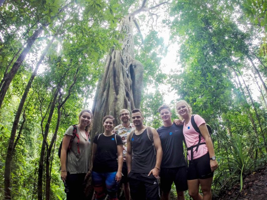 Chiang Mai: 7-Hour Doi Suthep National Park Summit Hiking - The Trek Itself: A Test of Endurance and Joy