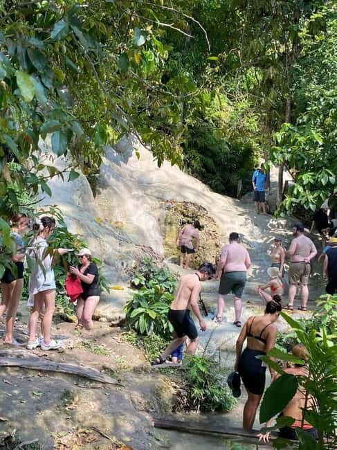 Chiang Mai: Afternoon Bua Tong Sticky Waterfall by Red Taxi - What to Expect on Your Trip