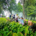 Chiang Mai ATV Tour, Doi Inthanon Trekking, and Elephant Watching - Practical Details: What’s Included and What to Consider