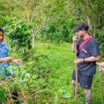Chiang Mai Coffee Tour: Trekking to Farm, Roast and Brew Workshop - FAQ