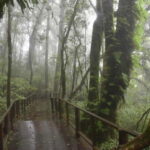 Chiang Mai: Doi Inthanon National Park and Kew Mae Pan Tour - Practical Details and Tips