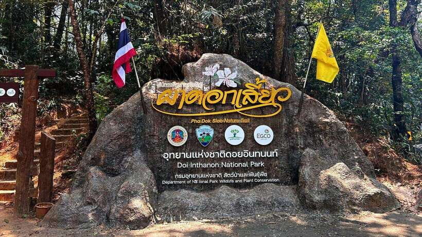 Chiang Mai: Doi Inthanon National Park and Pha Dok Siew Trek - Who Would Love This Tour?