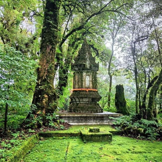 Chiang Mai: Doi Inthanon National Park+Trek Pha Dok Siew - The Sum Up: Who Is It Best For?