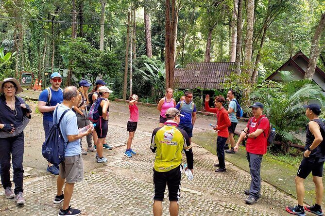 Chiang Mai: Doi Suthep Summit Trek  7 Hour Pure Hiking Adventure - The Sum Up