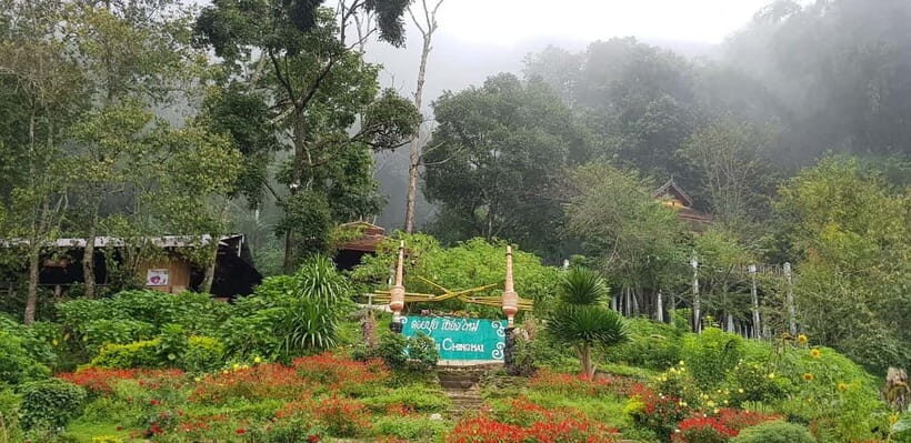 Chiang Mai: Doi Suthep Temple & Hmong Village Tour - Who Should Take This Tour?