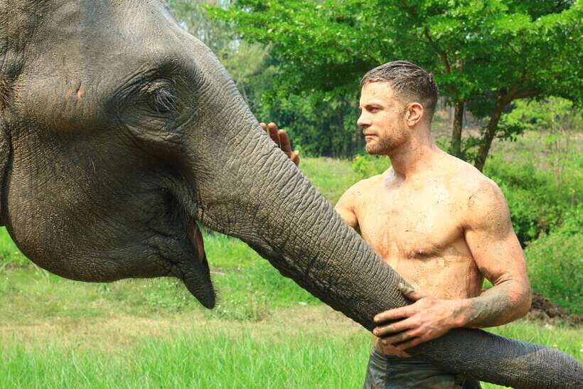 Chiang Mai: Elephant Feeding Experience - Value and Practical Considerations