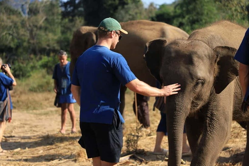 Chiang Mai: Elephant Sanctuary & Bamboo Rafting - Who Should Consider This Tour?
