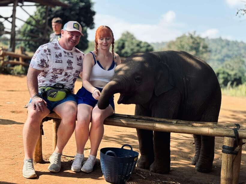 Chiang Mai: Elephant Sanctuary Feeding Program Half-Day Tour - Final Thoughts: Who Should Consider This Tour?