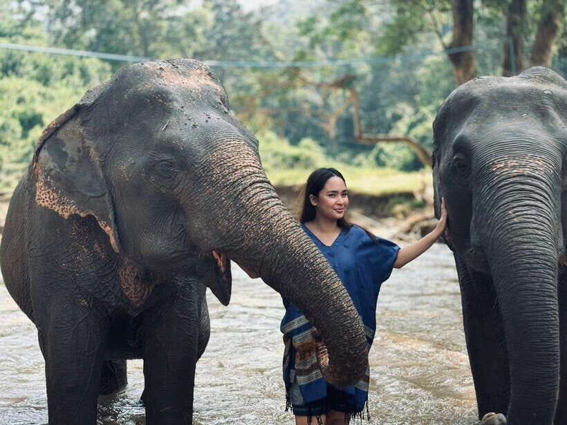 Chiang Mai: Elephant Sanctuary, Long Neck & Sticky Waterfall