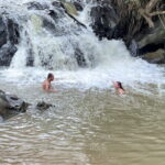 Chiang Mai Elephant Sanctuary Observation and Bamboo Rafting - A Deep Dive into the Experience