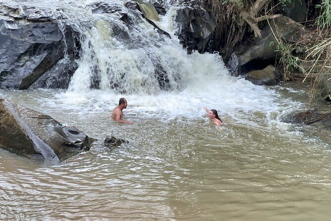 Chiang Mai Elephant Sanctuary Observation and Bamboo Rafting - A Deep Dive into the Experience