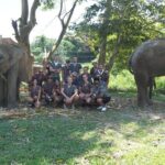 Chiang Mai Elephant Sanctuary Small Group Ethical Tour - The Sum Up: Is This Tour Right for You?