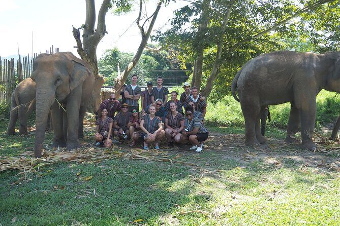 Chiang Mai Elephant Sanctuary Small Group Ethical Tour - The Sum Up: Is This Tour Right for You?