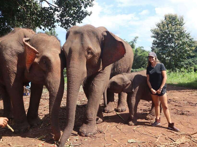 Chiang Mai: Elephant Sanctuary & Waterfall Group Tour