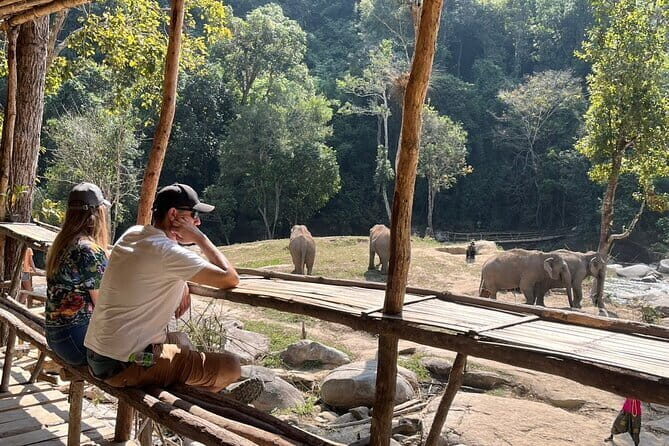 Chiang Mai Elephant Watch and Wang River Rafting - Transport, Price, and Value