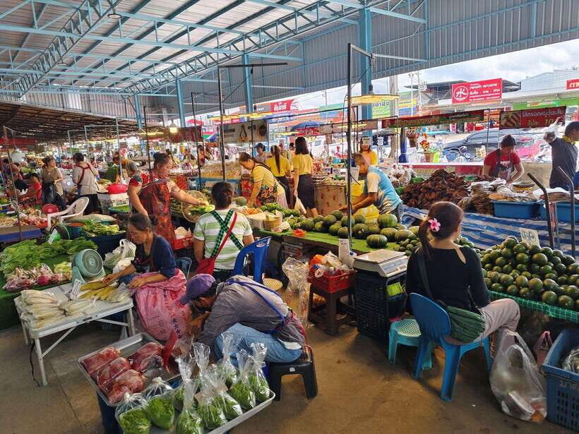 Chiang Mai: Elephants, Sticky Waterfalls, Market and Temple - The Itinerary in Detail