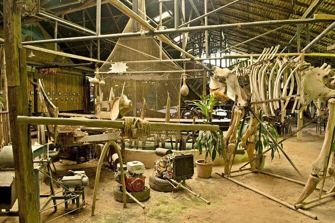 Chiang Mai farming and Khao Soy - Who is this tour best for?