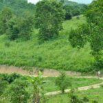 Chiang Mai Fields of Gold Cycling Tour - Why This Tour Stands Out