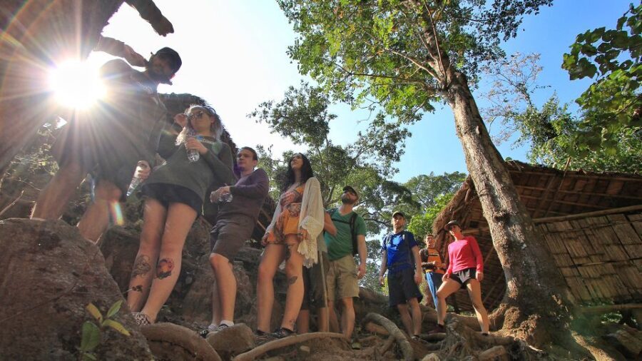 Chiang Mai: Guided Jungle and Waterfall Trek with Transfer - Who Will Love This Tour?