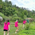 Chiang Mai Half Day Elephant Sanctuary Observation and Waterfall - Why This Tour Works for You