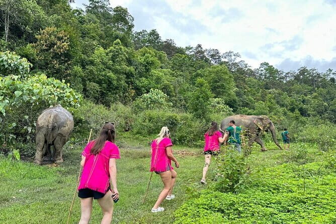 Chiang Mai Half Day Elephant Sanctuary Observation and Waterfall - Why This Tour Works for You