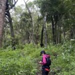 Chiang Mai: Hmong Village, Doi Suthep and Wat Pha Lat Trek - Key Points