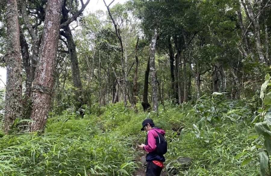 Chiang Mai: Hmong Village, Doi Suthep and Wat Pha Lat Trek - Key Points