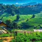 Chiang Mai Mon Jam Highlands and Pongyang Full-Day Private Tour - Practical Details and What to Expect