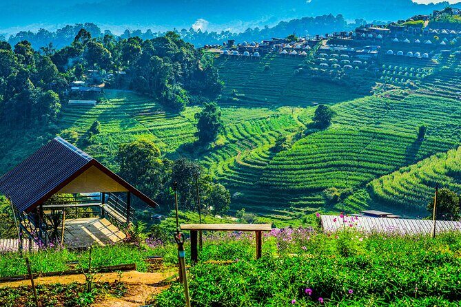 Chiang Mai Mon Jam Highlands and Pongyang Full-Day Private Tour - Practical Details and What to Expect