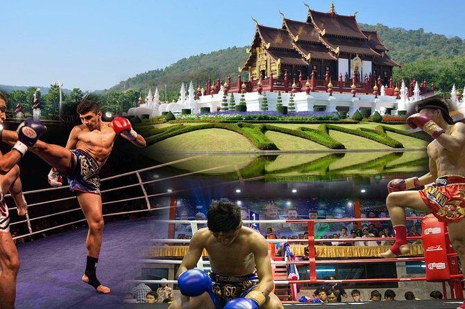Chiang Mai Muay Thai Boxing Live at Thapae Stadium - Who Should Book This Tour?