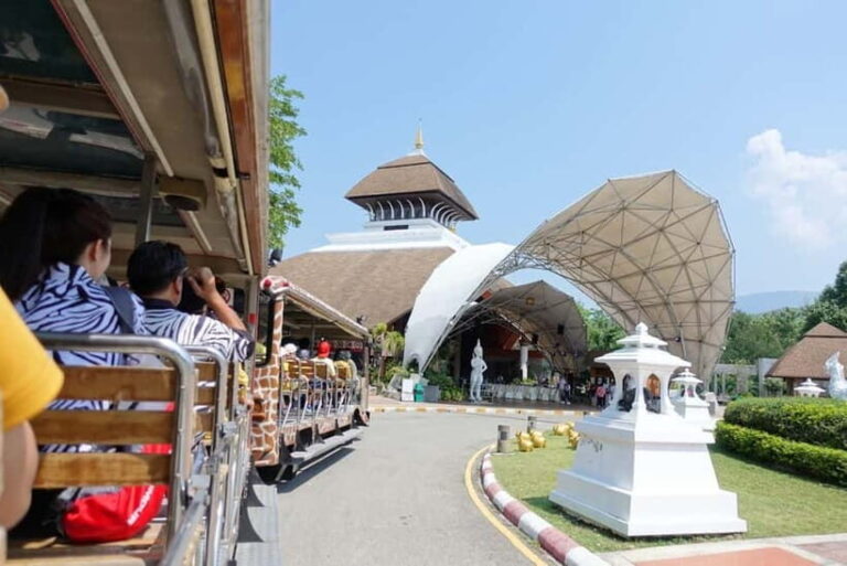 Chiang Mai Night Safari: Entry Ticket with Tram Ride - In-Depth Review: What Makes the Chiang Mai Night Safari Special