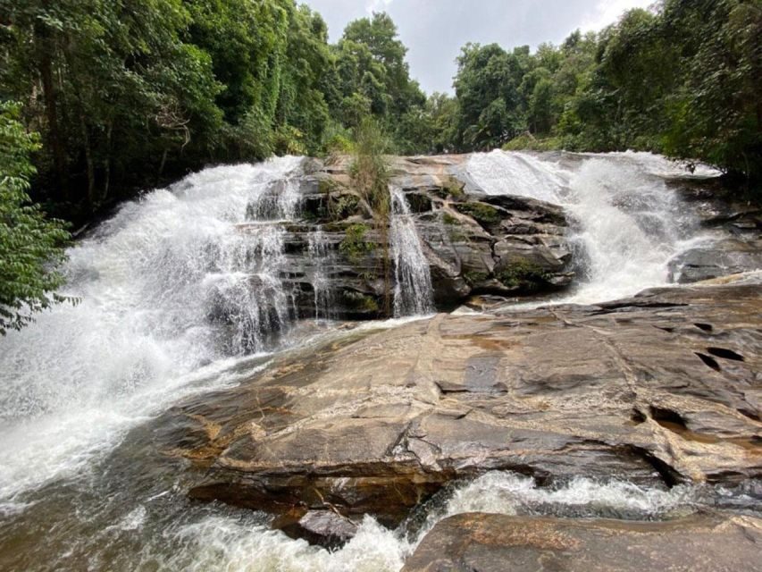 Chiang Mai: Pha Dok Siew Nature Trail & Doi Inthanon Trip - An In-Depth Look at the Chiang Mai: Pha Dok Siew & Doi Inthanon Tour